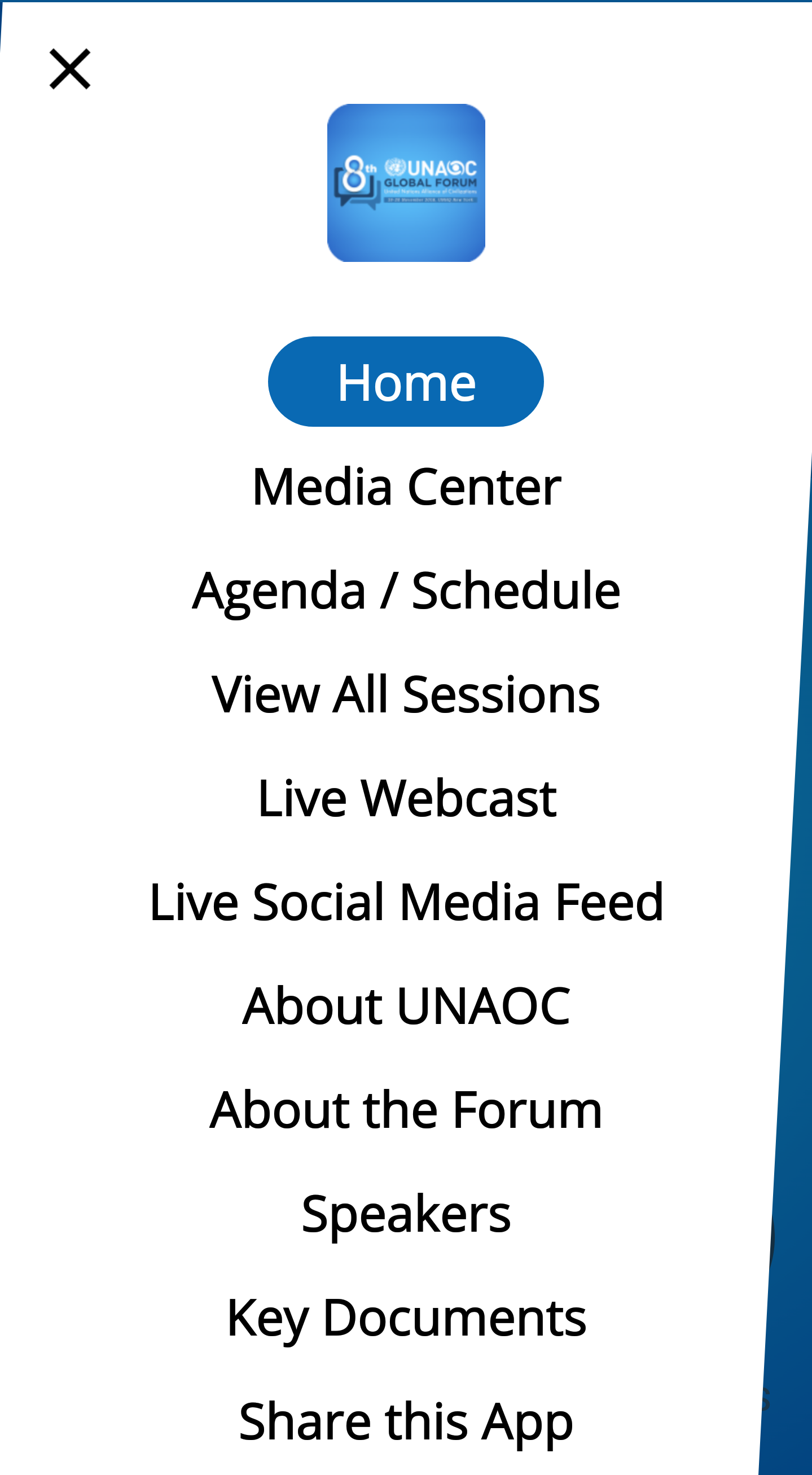 UNAOC modal lightbox image3